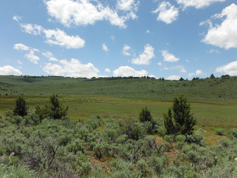 Tract 4 at Moon Valley Ranch in Lassen County, California