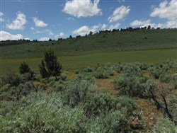 property photo for Moon Valley Ranch Tract 4, 20.1 acres for sale in Lassen County, California