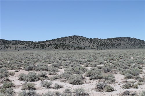 Moon Valley Ranch Tract 442