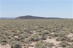 Moon Valley Ranch Tract 442