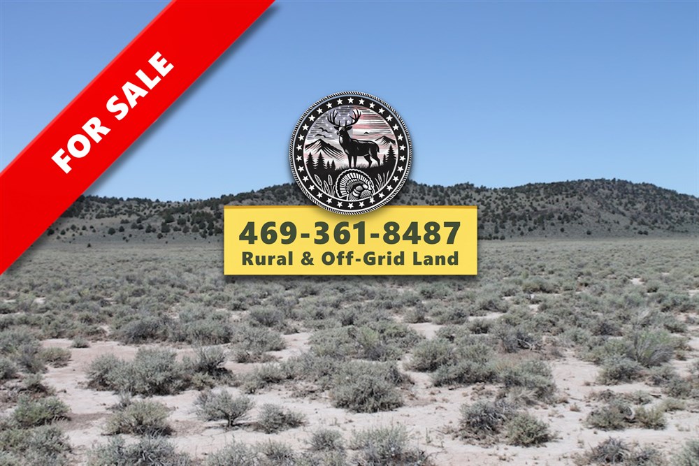 Moon Valley Ranch Tract 442 - Primary