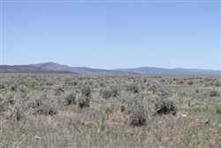 Moon Valley Ranch Tract 497