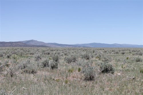 Moon Valley Ranch Tract 497