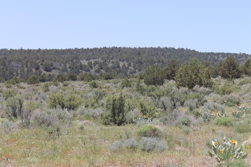 Tract 547 at Moon Valley Ranch in Lassen County, California