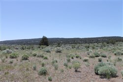 property photo for Moon Valley Ranch Tract 547, 20.3 acres for sale in Lassen County, California