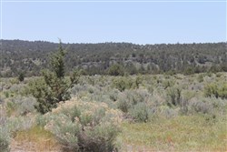 property photo for Moon Valley Ranch Tract 547, 20.3 acres for sale in Lassen County, California