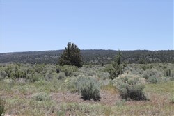 property photo for Moon Valley Ranch Tract 547, 20.3 acres for sale in Lassen County, California