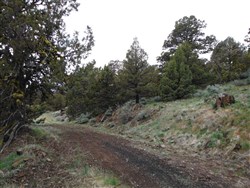 property photo for Moon Valley Ranch Tract 766, 21 acres for sale in Lassen County, California