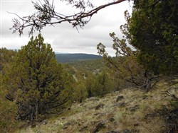 property photo for Moon Valley Ranch Tract 766, 21 acres for sale in Lassen County, California
