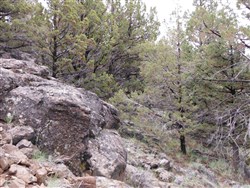 property photo for Moon Valley Ranch Tract 766, 21 acres for sale in Lassen County, California