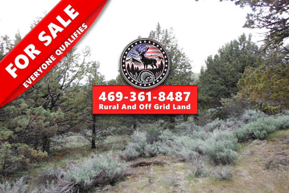 21 acre rural land tract for sale at Moon Valley Ranch Tract 766 in Lassen County, California