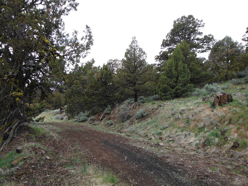 Tract 772 at Moon Valley Ranch in Lassen County, California