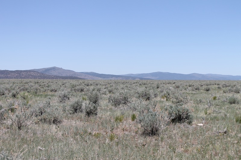 Tract 890 at Moon Valley Ranch in Lassen County, California