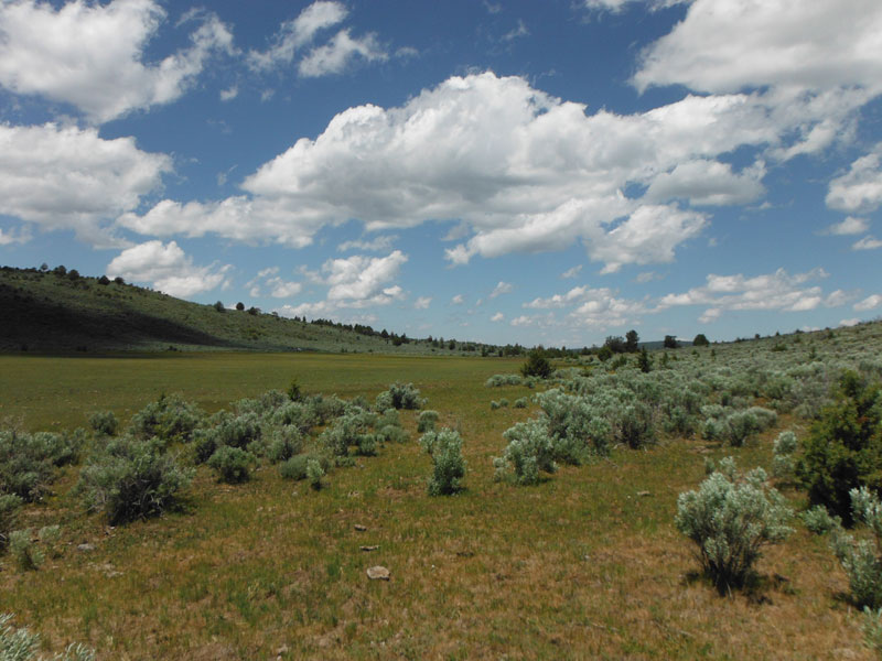 Tract 896 at Moon Valley Ranch in Lassen County, California
