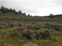 property photo for Moon Valley Ranch Tract 896, 20 acres for sale in Lassen County, California