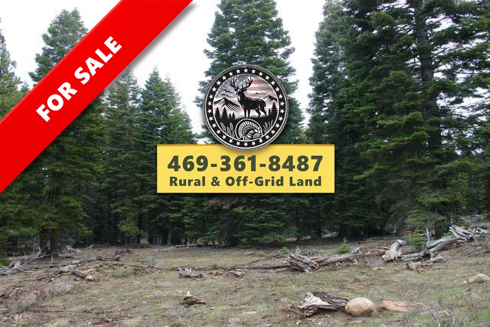 California Pines Tract 92 - Primary