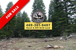 California Pines Tract 92