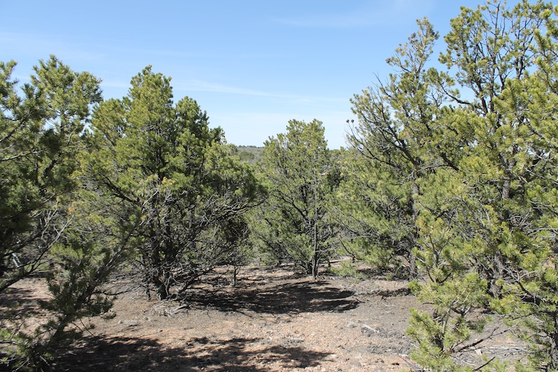 Tract 1378 at Sangre De Cristo Ranches in Costilla County, Colorado