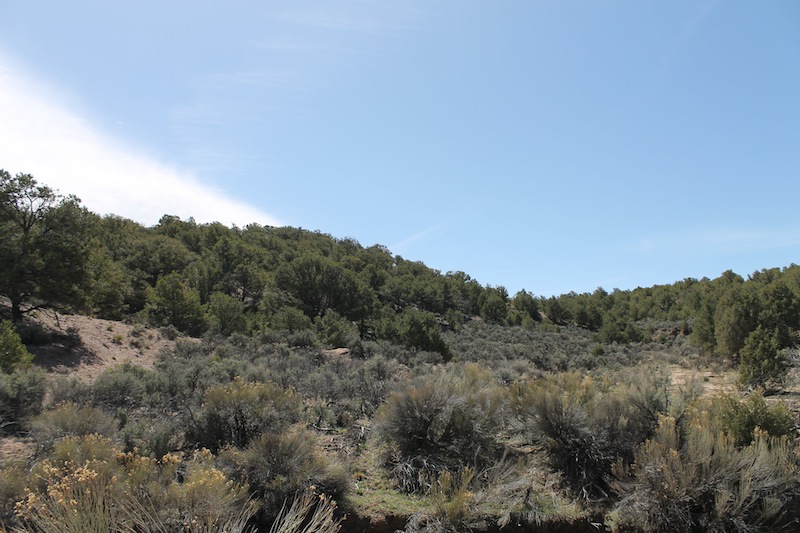 Tract 1599 at Sangre De Cristo Ranches in Costilla County, Colorado
