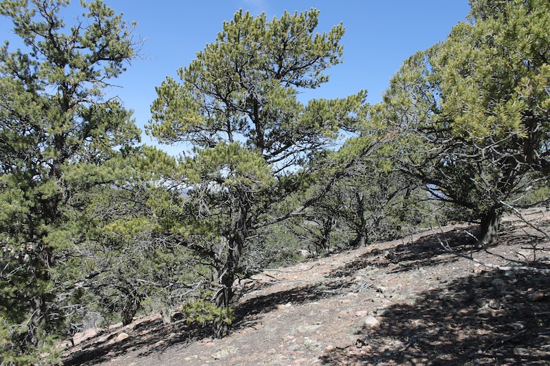 Tract 3972 at Sangre De Cristo Ranches in Costilla County, Colorado