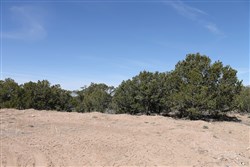 Sangre De Cristo Ranches Tract 4101