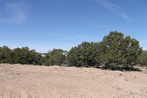 Sangre De Cristo Ranches Tract 4101