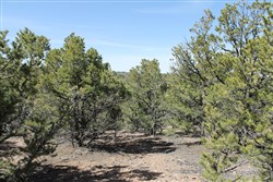 Sangre De Cristo Ranches Tract 4101