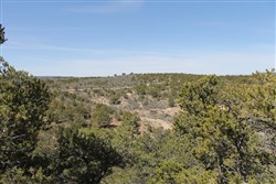 Sangre De Cristo Ranches Tract 4101