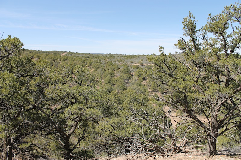 Tract 4488 at Sangre De Cristo Ranches in Costilla County, Colorado
