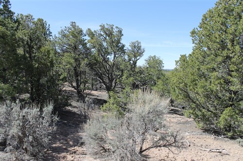 Sangre De Cristo Ranches Tract 4691