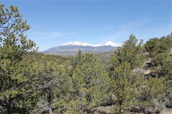 Sangre De Cristo Ranches Tract 8
