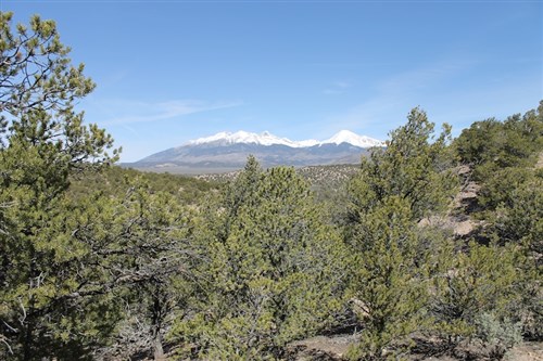 Sangre De Cristo Ranches Tract 8