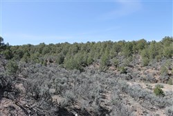 Sangre De Cristo Ranches Tract 8