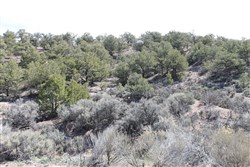 Sangre De Cristo Ranches Tract 8
