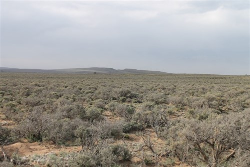 San Luis Valley Ranches Tract 21