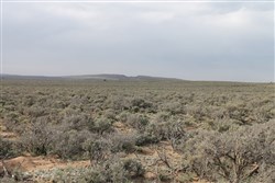 property photo for San Luis Valley Ranches Plat 22 Tract 8, 5 acres for sale in Costilla County, Colorado