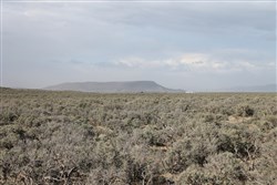 property photo for San Luis Valley Ranches Plat 22 Tract 8, 5 acres for sale in Costilla County, Colorado