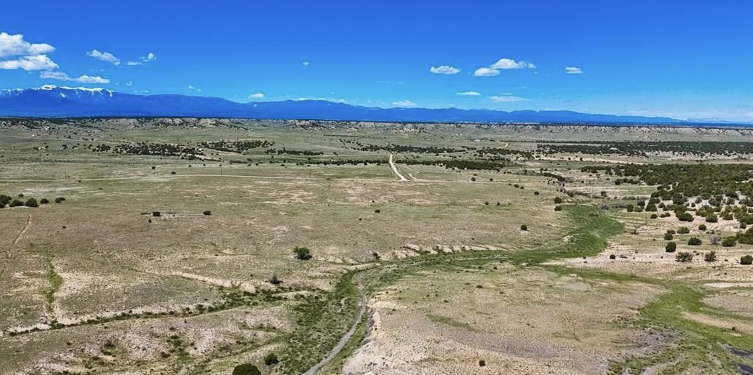 Colorado City Tract 307