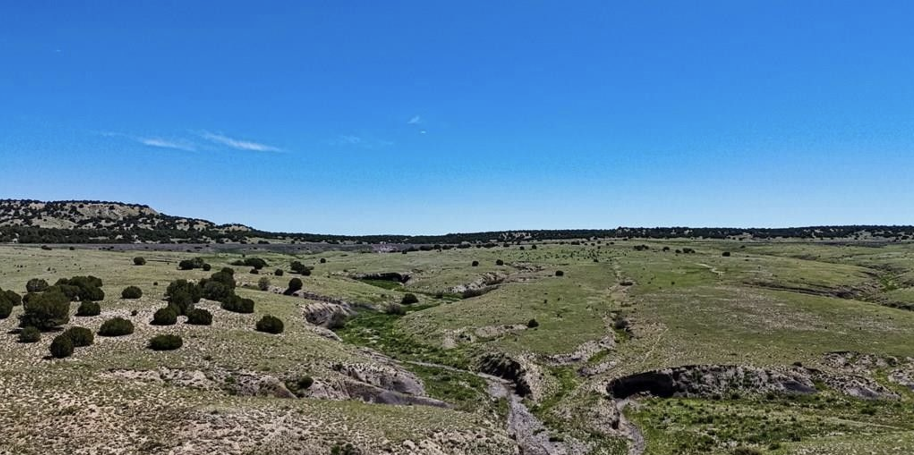 Colorado City Tract 307