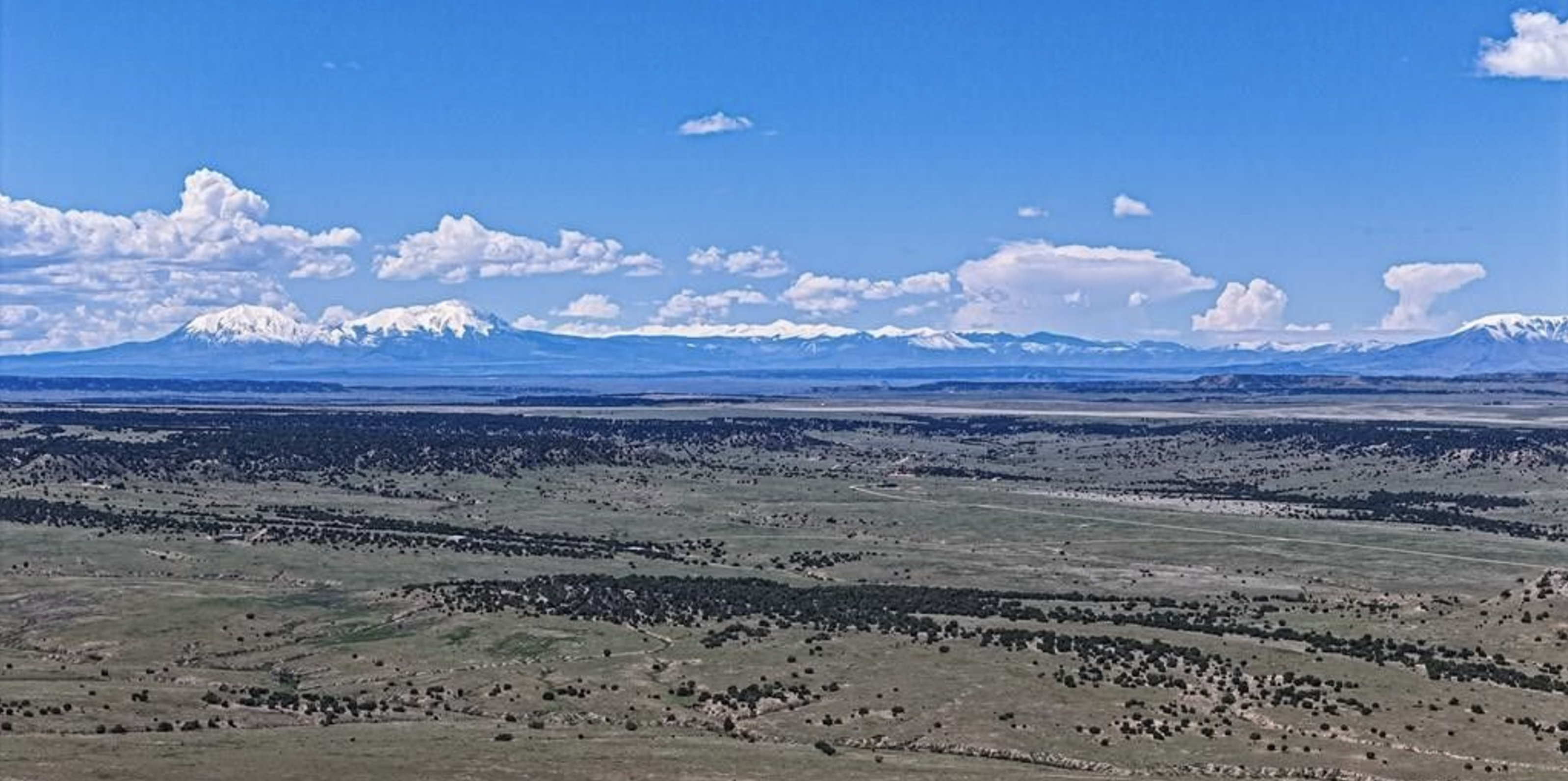 Colorado City Tract 409