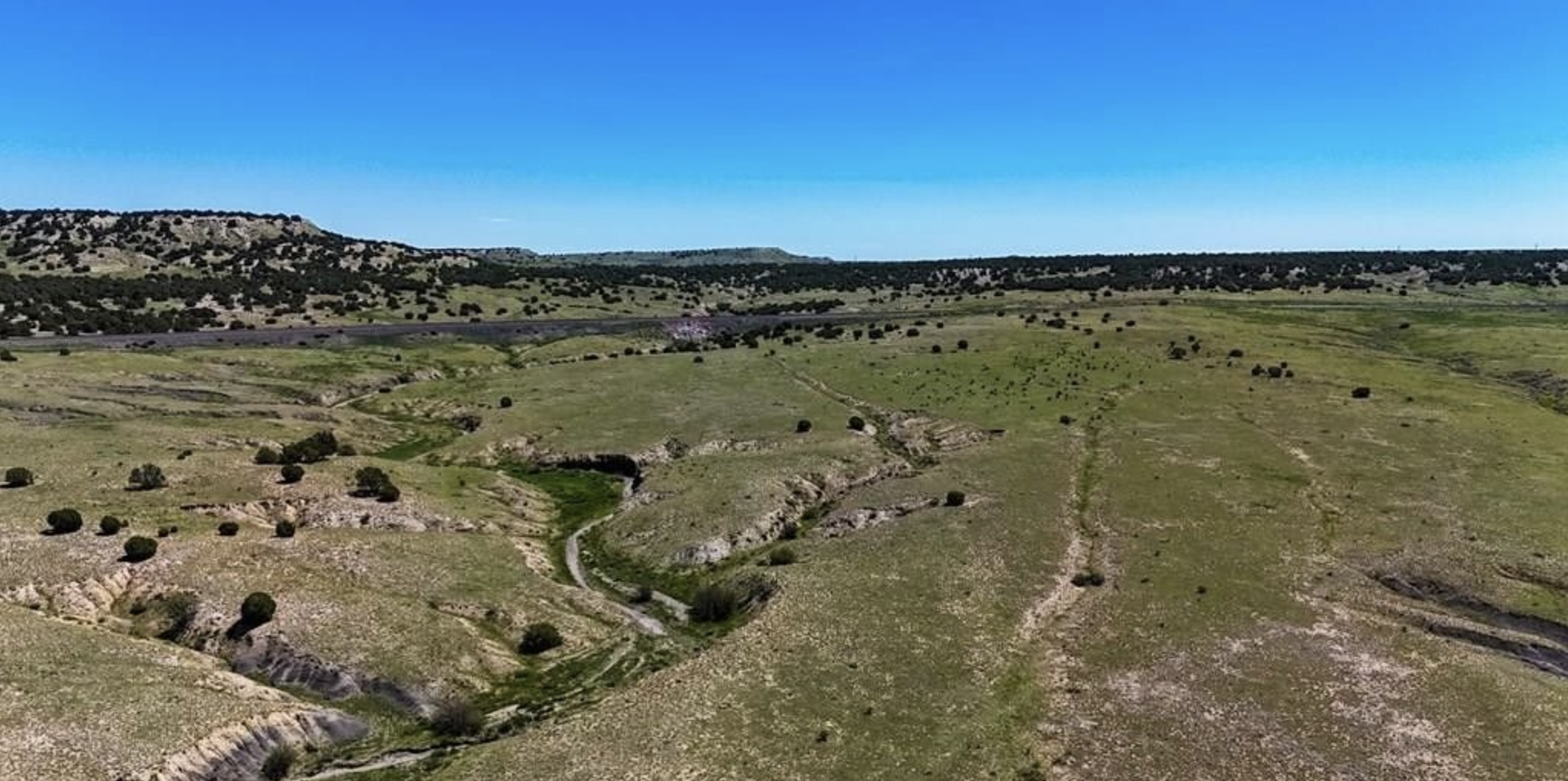 Colorado City Tract 409