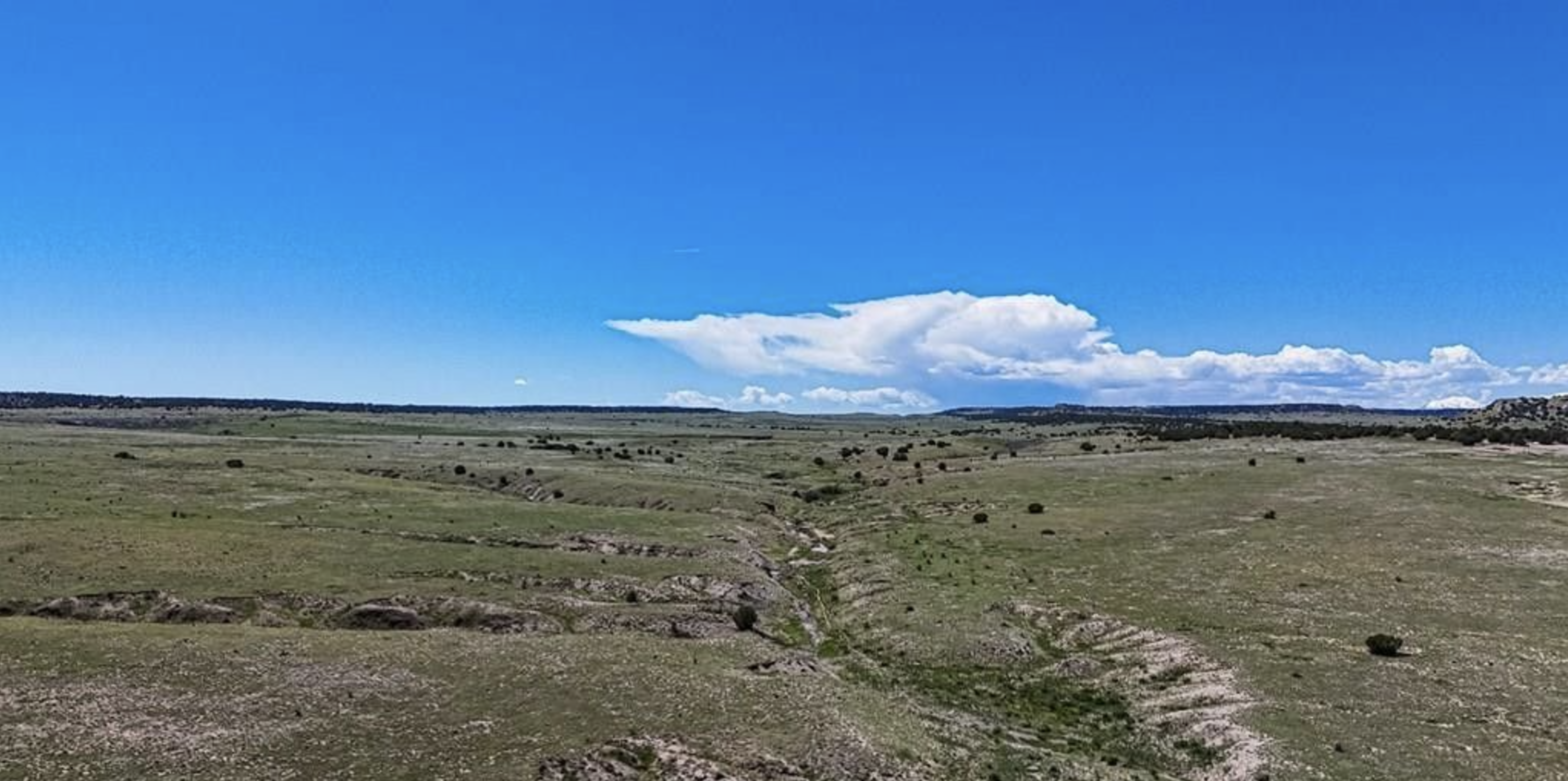 Colorado City Tract 409