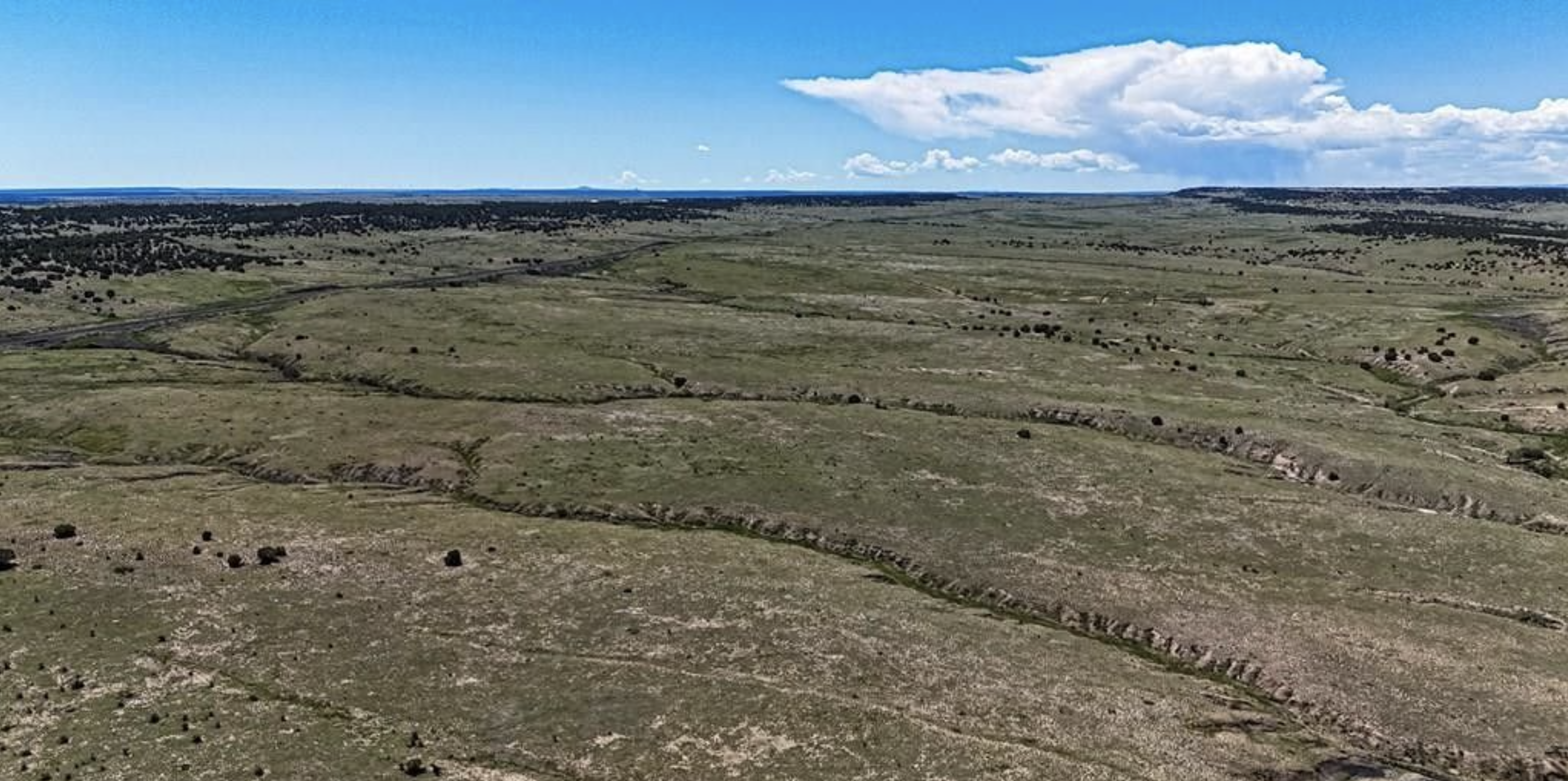 Colorado City Tract 397
