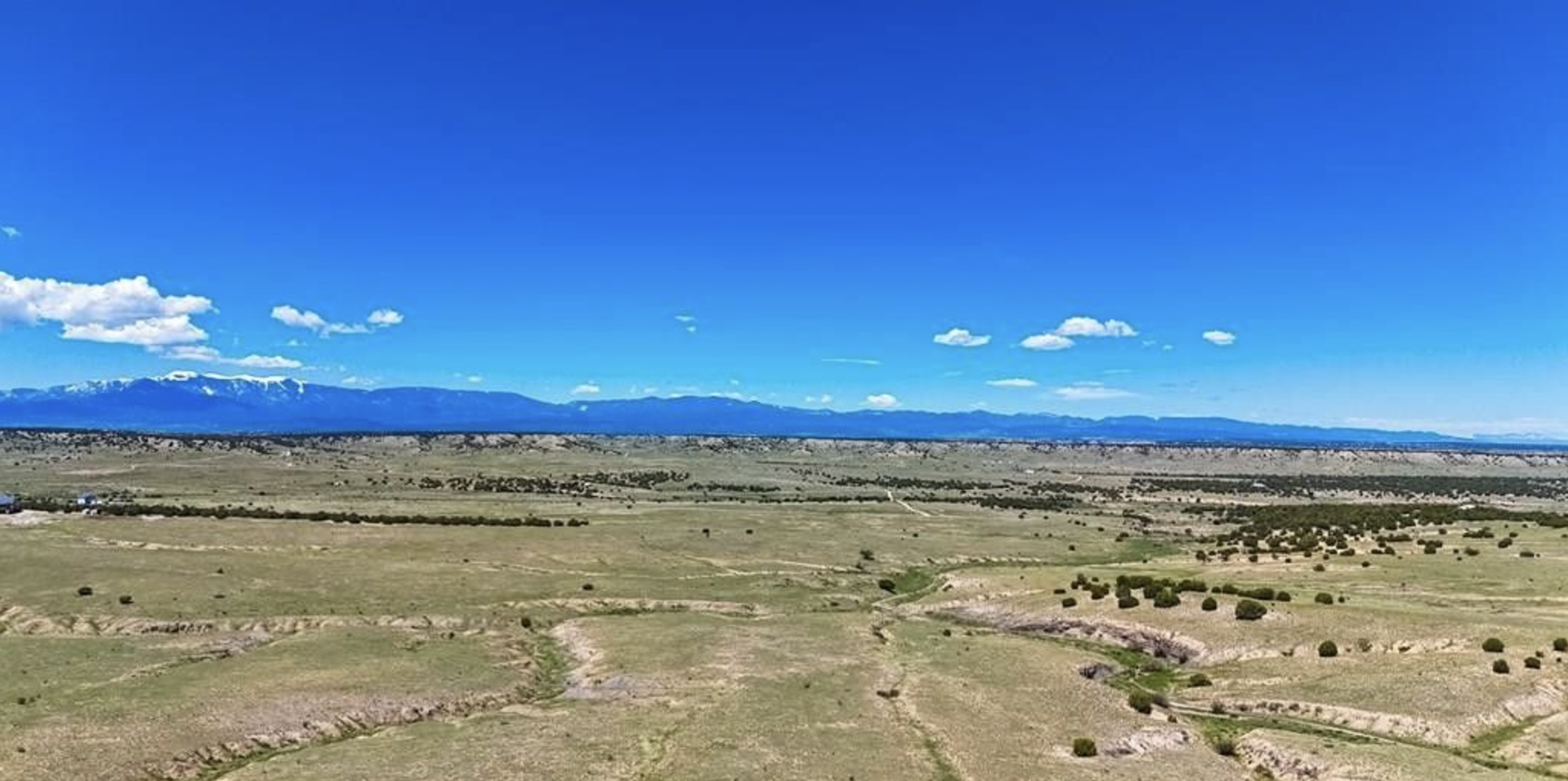 Colorado City Tract 398