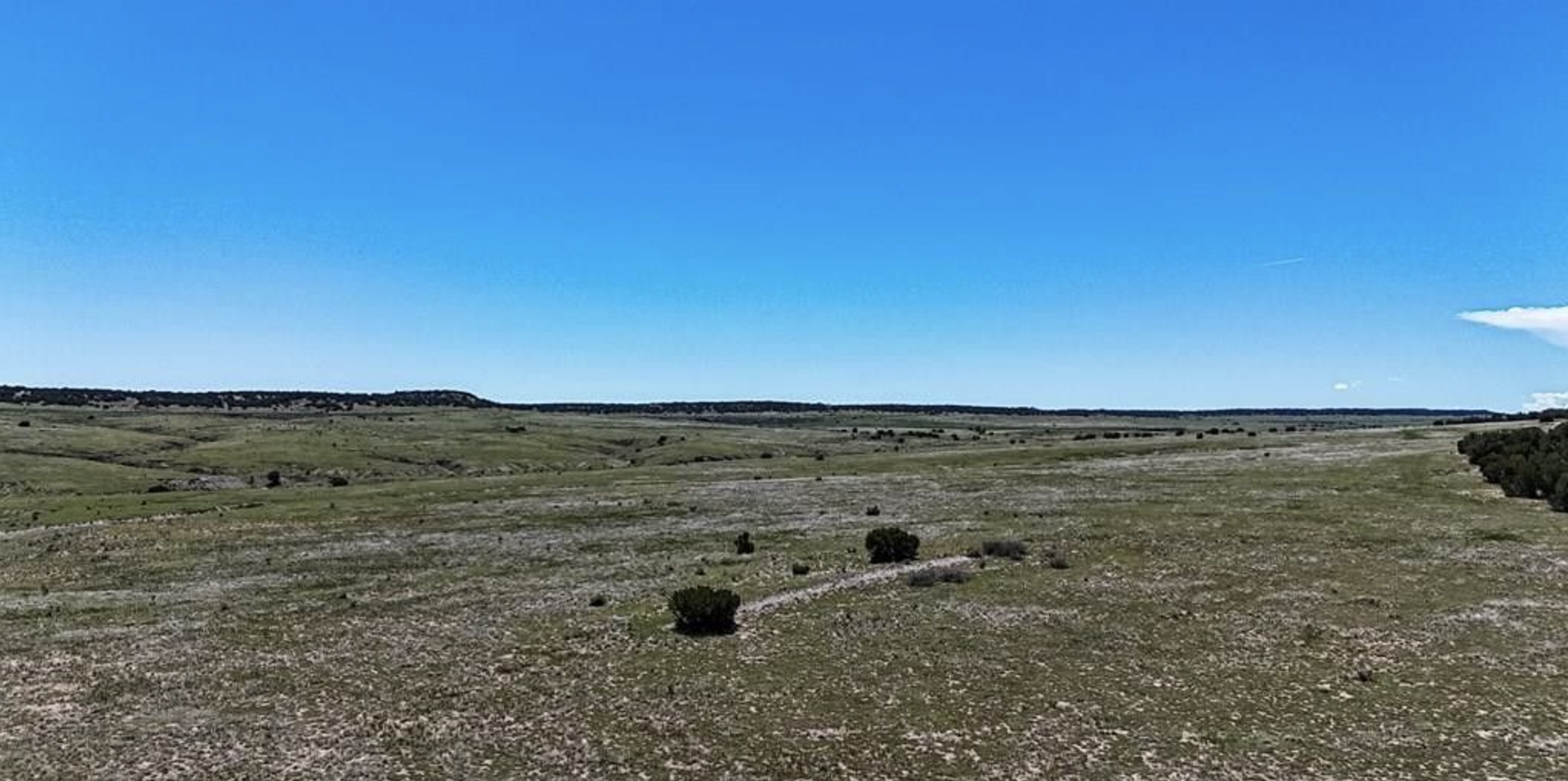 Colorado City Tract 398