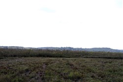 property photo for Cowboy Meadows Tract 1, 7.52 acres for sale in Chautauqua County, Kansas