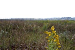 property photo for Cowboy Meadows Tract 1, 7.52 acres for sale in Chautauqua County, Kansas