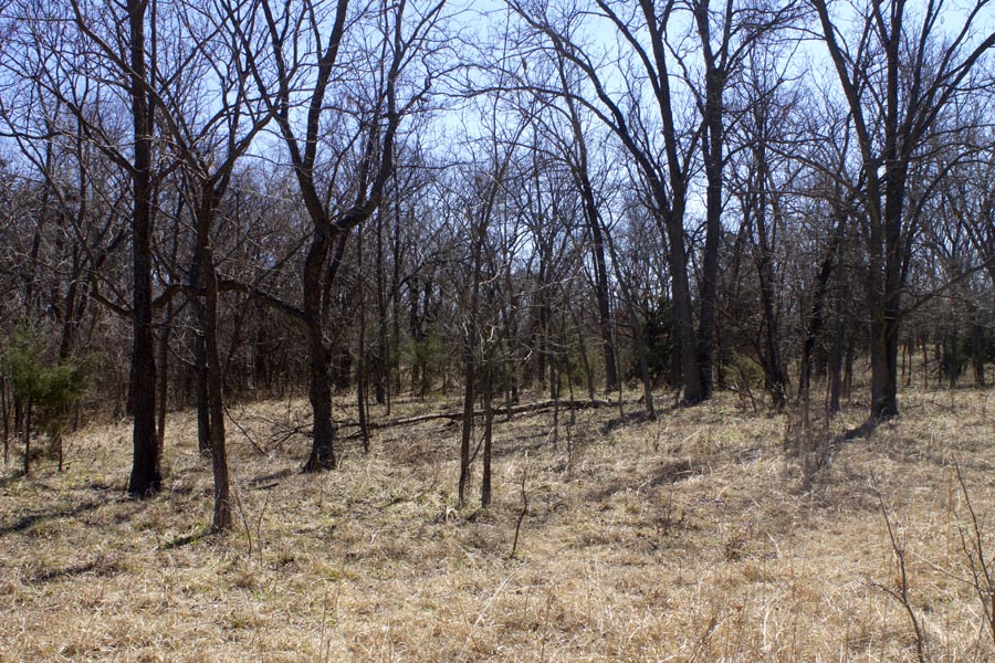 Tract 15 at Cowboy Meadows in Chautauqua County, Kansas
