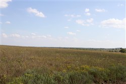 Cowboy Meadows Tract 19