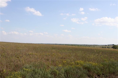 Cowboy Meadows Tract 19